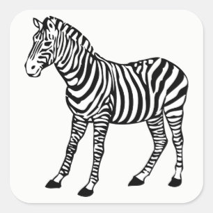 zebra vierkante sticker