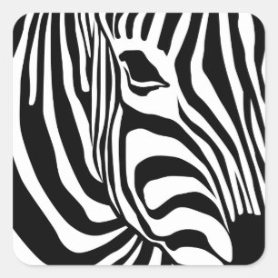 Zebra Vierkante Sticker