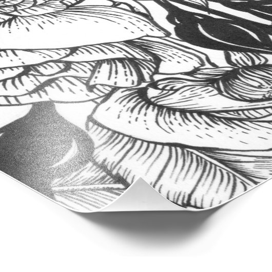 Zebra vinken en rozen struiken inkttekening foto afdruk (Hoek)