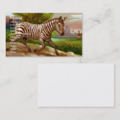 Zebra Visitekaartje (Voorkant / Achterkant)