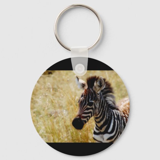 Zebra Vliegende sleutelhangers voor dieren en sleu (Voorkant)