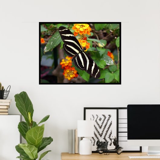 Zebra-vlinder Poster (Thuiskantoor)