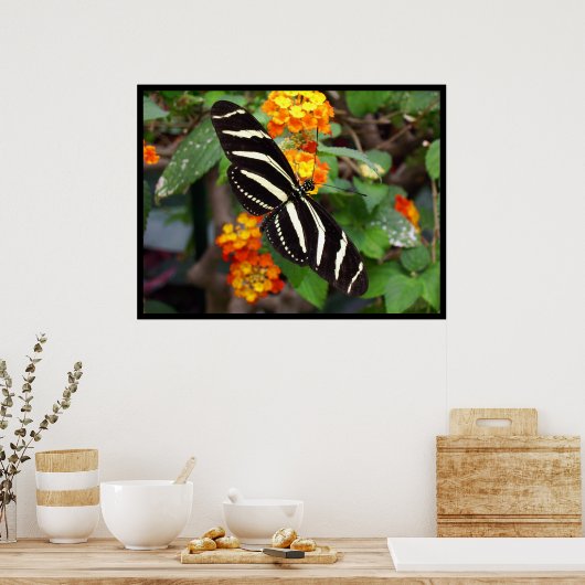Zebra-vlinder Poster (Keuken)
