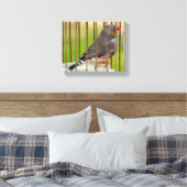 Zebra Vogel in kooi Canvas Afdruk (Insitu (Slaapkamer))