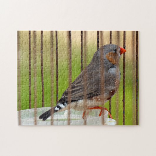 Zebra Vogel in kooi Legpuzzel (Horizontaal)