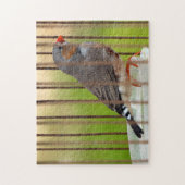 Zebra Vogel in kooi Legpuzzel (Verticaal)