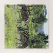 Zebra-vrienden Legpuzzel (Horizontaal)