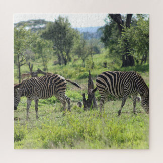 Zebra-vrienden Legpuzzel