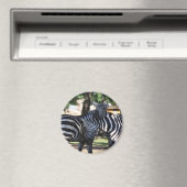 Zebra Vrienden Magneet (Insitu (Vaatwasser))