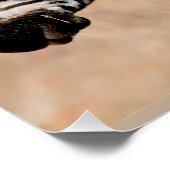 Zebra vrienden perfect poster (Hoek)