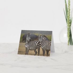 Zebra-vriendschapskaart Kaart