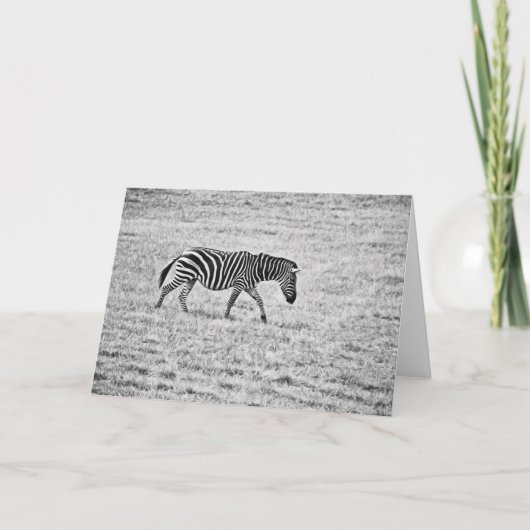 Zebra Walk Blank Note Kaart (Voorkant)