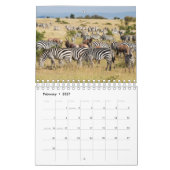 Zebra Wandkalender Kalender (Feb 2027)