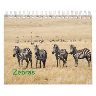 Zebra Wandkalender Kalender