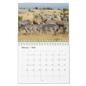 Zebra Wandkalender Kalender (Feb 2026)