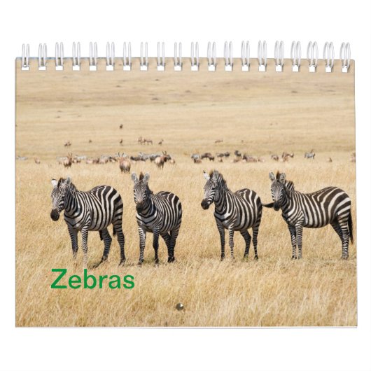 Zebra Wandkalender Kalender (Hoes)