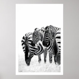 Zebra Wandkunstprint Subtiele Beweging, Zwart en Poster
