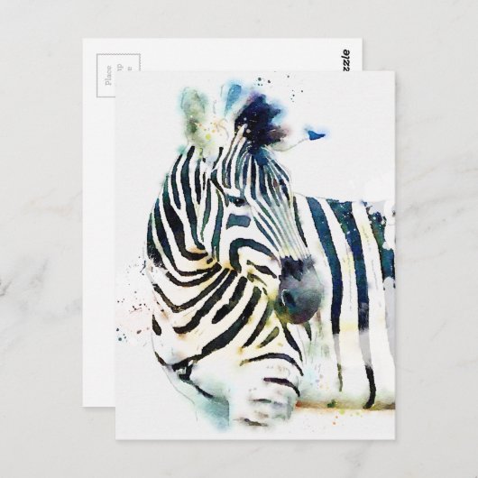 Zebra Waterverf Briefkaart (Voorkant / Achterkant)