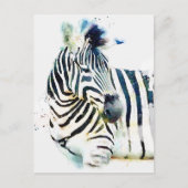 Zebra Waterverf Briefkaart (Voorkant)