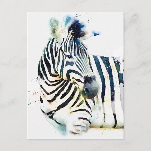 Zebra Waterverf Briefkaart (Voorkant)