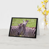 Zebra Wenskaart Kaart (Gele Bloem)