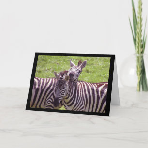 Zebra Wenskaart Kaart