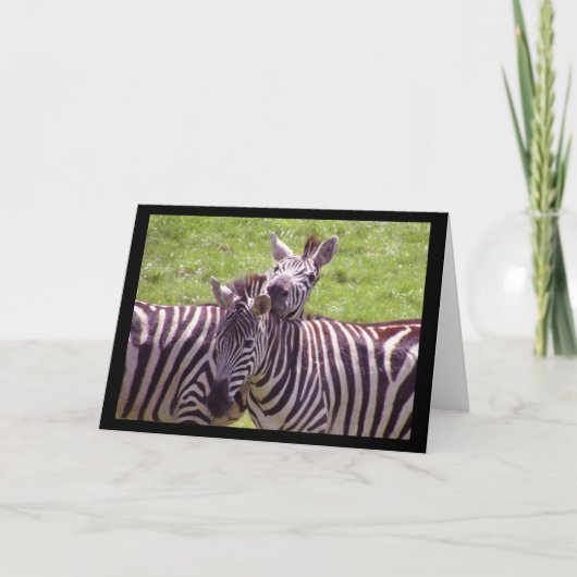 Zebra Wenskaart Kaart (Voorkant)