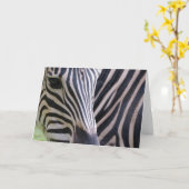 Zebra Wenskaart Kaart (Gele Bloem)