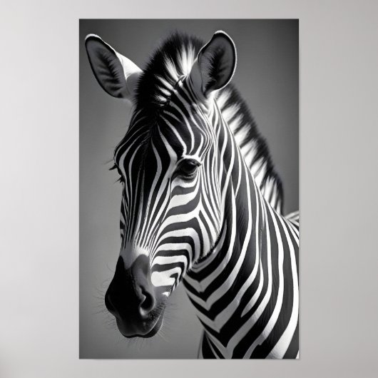 Zebra Wildlife Majestic Natuur Life Art Wallpaper Poster (Voorkant)