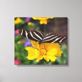 Zebra Wings Canvas Afdruk (Voorkant)