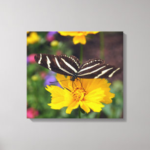 Zebra Wings Canvas Afdruk