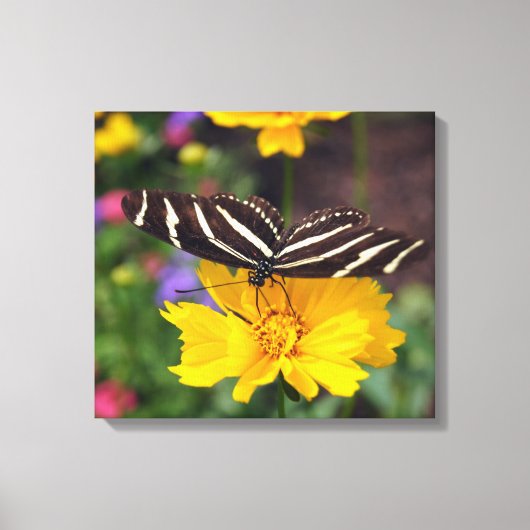 Zebra Wings Canvas Afdruk (Voorkant)