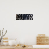 Zebra Zebra aan de muur Poster (Keuken)