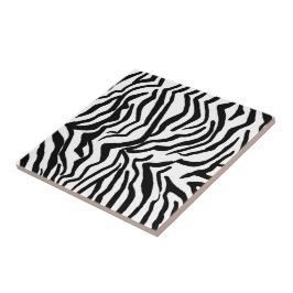 Zebra Zwart En Wit Huiden Vachtpatroon Tegeltje