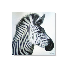 Zebra Zwart en Wit Portret Groot