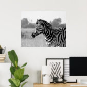 Zebra zwart-wit afdrukPoster Poster (Thuiskantoor)