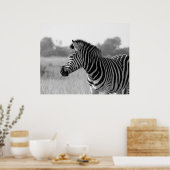 Zebra zwart-wit afdrukPoster Poster (Keuken)