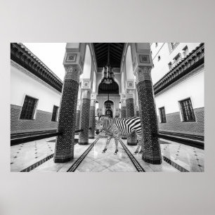 Zebra Zwart Wit Gebouw Landschap Poster
