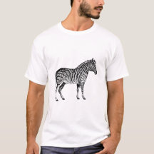 Zebra Zwart-wit illustratie