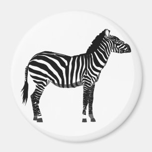 Zebra - Zwart-wit Magneet