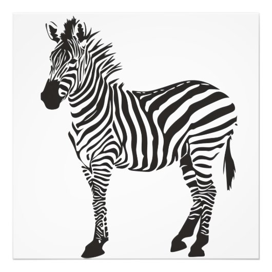 Zebra Zwart-wit Minimalisme Foto Afdruk (Voorkant)