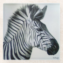 Zebra zwart-wit portret