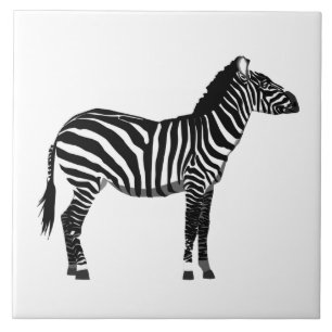 Zebra - Zwart-wit Tegeltje