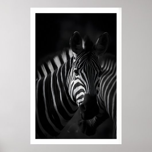 Zebra zwart-witprint, close-up portret poster (Voorkant)
