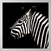 Zebra zwarte en witte strepen poster (Voorkant)