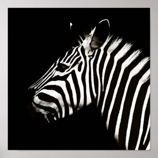 Zebra zwarte en witte strepen poster (Voorkant)