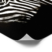 Zebra zwarte en witte strepen poster (Hoek)