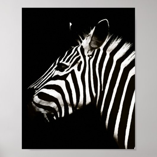 Zebra zwarte en witte strepen poster (Voorkant)