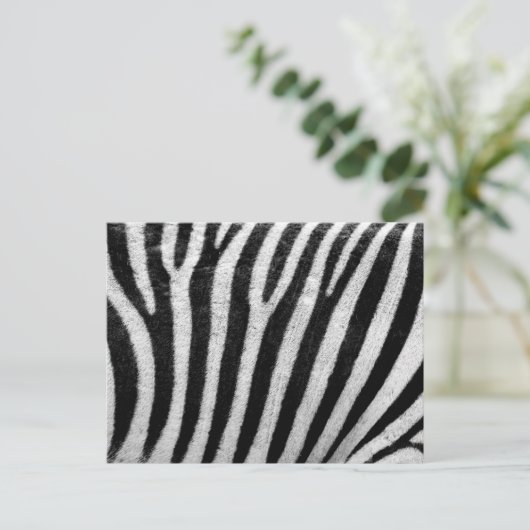 Zebra zwarte en witte striptekening Sjabloon Briefkaart (Staand voorkant)