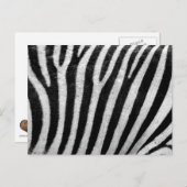 Zebra zwarte en witte striptekening Sjabloon Briefkaart (Voorkant / Achterkant)